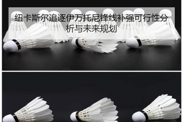 纽卡斯尔追逐伊万托尼锋线补强可行性分析与未来规划